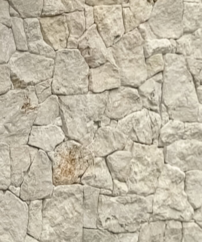 Palomino Free-Form